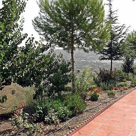 Paloma